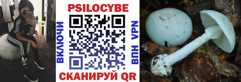 Псилоцибиновые грибы прущие грибы  Старая Купавна 