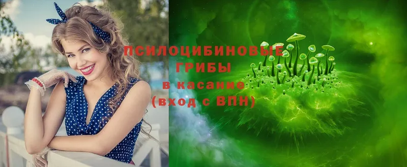 Псилоцибиновые грибы Magic Shrooms  кракен вход  Старая Купавна 