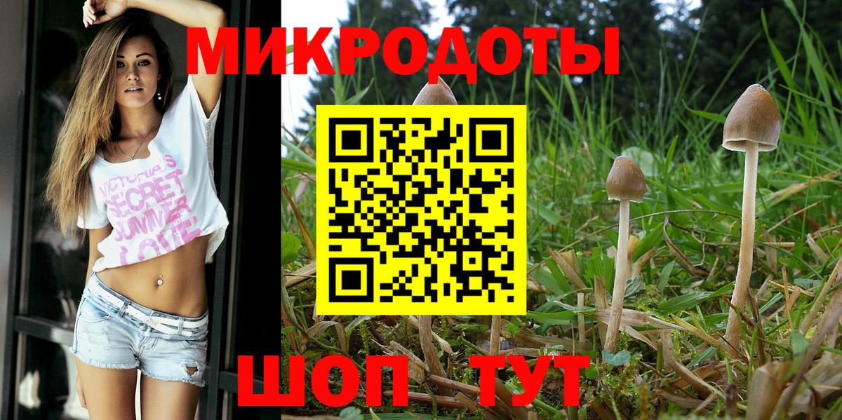 Галлюциногенные грибы Psilocybine cubensis  Галлюциногенные грибы мицелий  закладка  Старая Купавна  Вход с VPN 