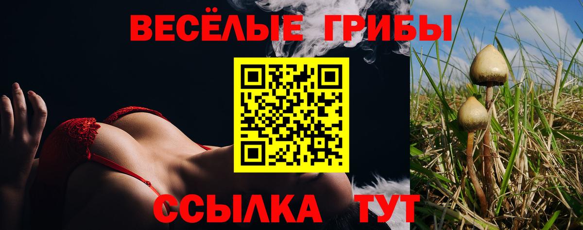 Галлюциногенные грибы мухоморы Старая Купавна